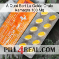 À Quoi Sert La Gelée Orale Kamagra 100 Mg new05